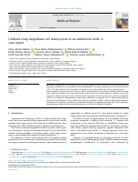 LCH article.pdf